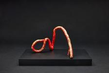 Pina rot 19 x 27 x 16 cm | 2021